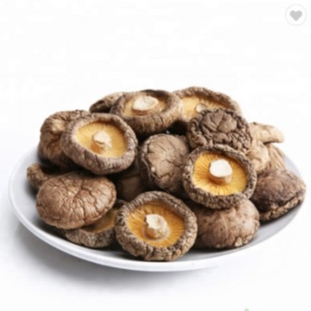 Jamur Shiitake Kering Sehat 1kg Permukaan Halus 2 Tahun Umur Simpan