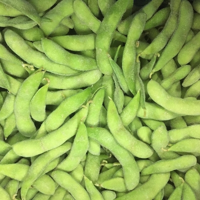 Panjang 4cm Frozen Edamame Pods IQF Whole Food Plant Based A Grade