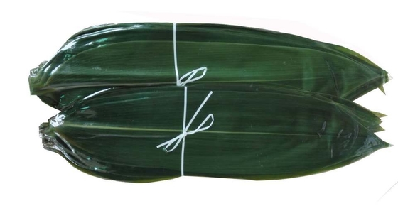 Sushi Dekorasi Sashimi Daun Bambu Segar Zongye 7.5cm