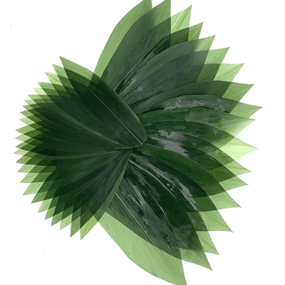 Sushi Dekorasi Sashimi Daun Bambu Segar Zongye 7.5cm