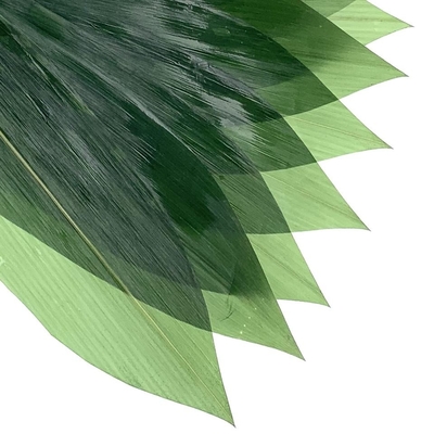 Sushi Dekorasi Sashimi Daun Bambu Segar Zongye 7.5cm
