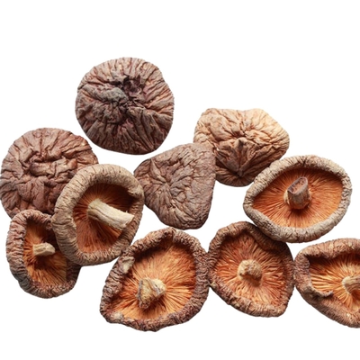 100g 250g 1kg 3kg Jamur Shiitake Kering Dengan BRC IFS ISO HACCP