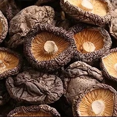 Jamur Shiitake Kering Sehat 1kg Permukaan Halus 2 Tahun Umur Simpan