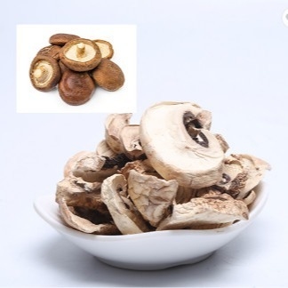 Tas Budidaya Jamur Shiitake Kering Coklat Jepang 10x10mm Massal