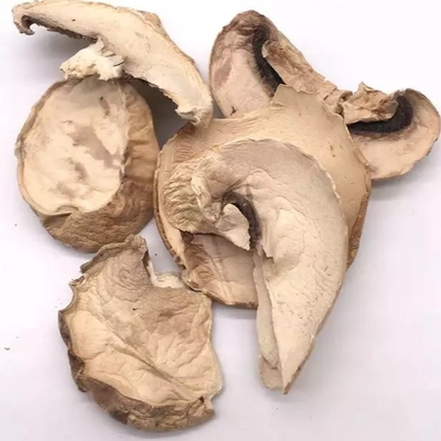 Tas Budidaya Jamur Shiitake Kering Coklat Jepang 10x10mm Massal