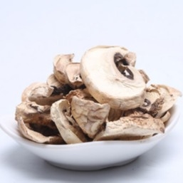 Tas Budidaya Jamur Shiitake Kering Coklat Jepang 10x10mm Massal