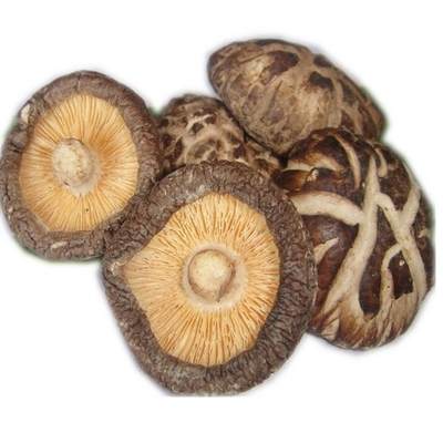 HACCP 1kg 3kg Jamur Shiitake Kering Jepang Dengan Rasa Yang Enak