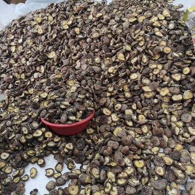 Jamur Shiitake Kering Massal Alami Jamur Shiitake Kering Organik