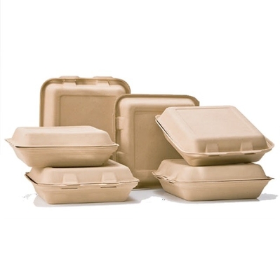 Alat Penyajian Makanan Eco Biodegradable 1000ml Wadah Makanan Takeaway