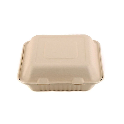 Alat Penyajian Makanan Eco Biodegradable 1000ml Wadah Makanan Takeaway