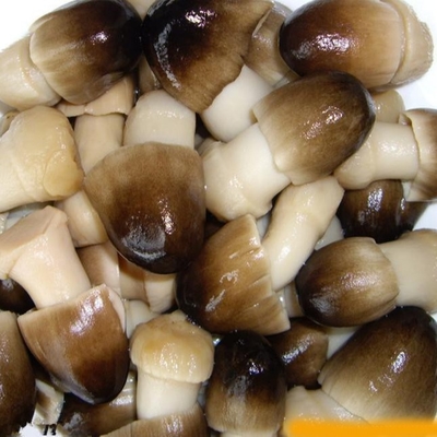 Bahan Baku Alami Segar Sayuran Buah Kalengan 425g Jamur Pertanian