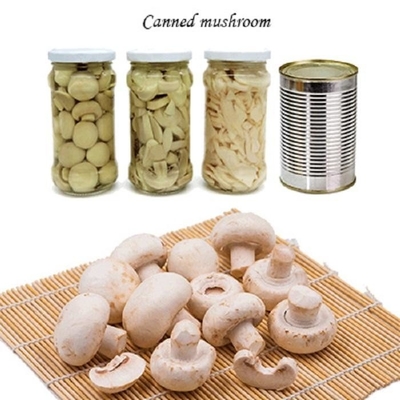 Champignon Jamur Kalengan Buah Sayuran Irisan Jamur Champignon
