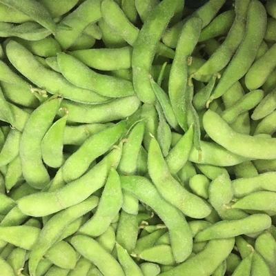 Kacang Edamame Beku Organik Umum Dengan Sertifikasi KOSHER BRC